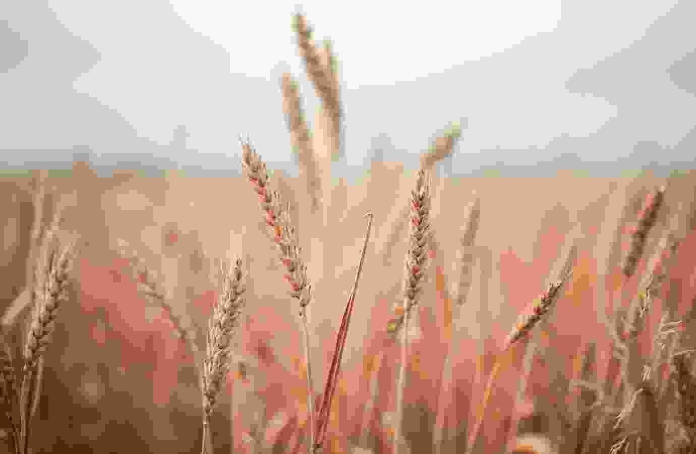 blog_06
