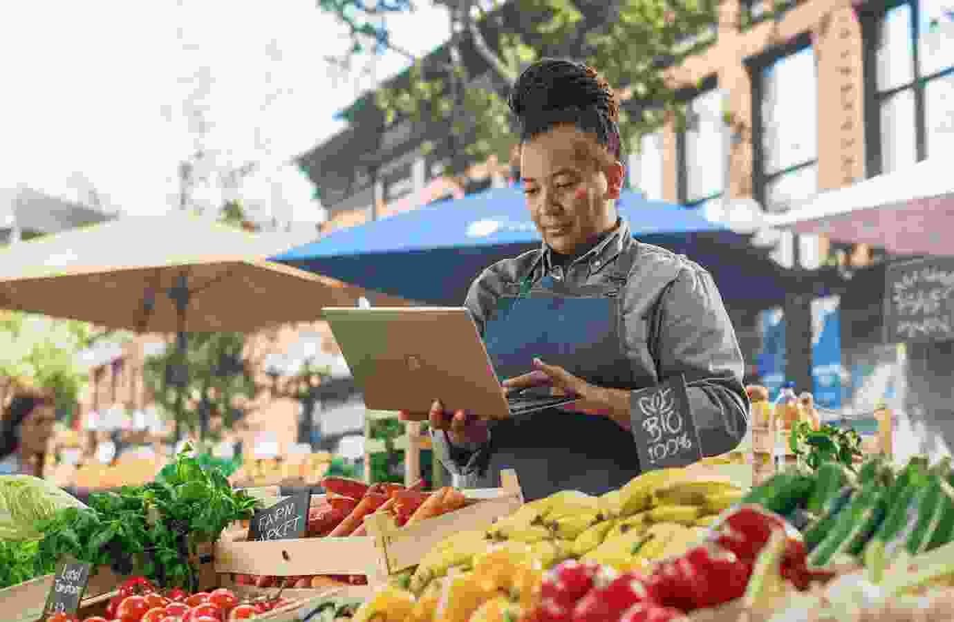 Organic Farming Trends Growing Worldwide Today
