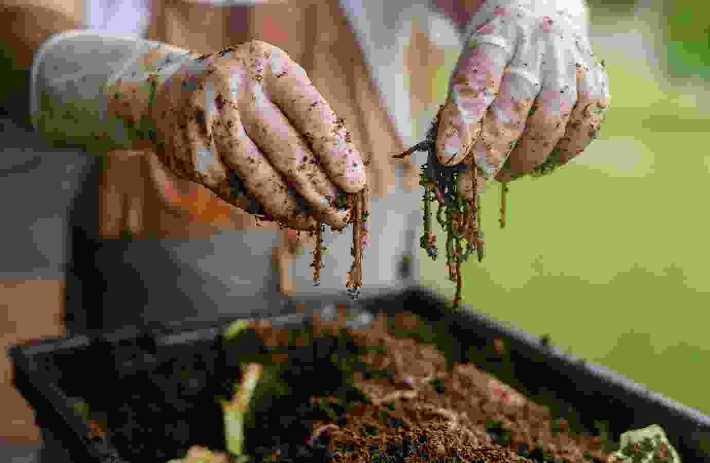 Mobility And Machinery Powering Modern Agriculture