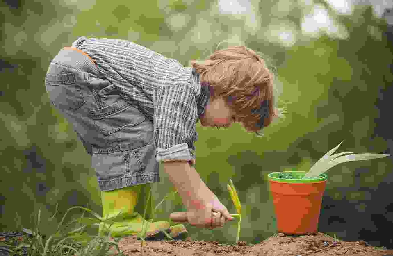Teaching The Next Generation About Agriculture